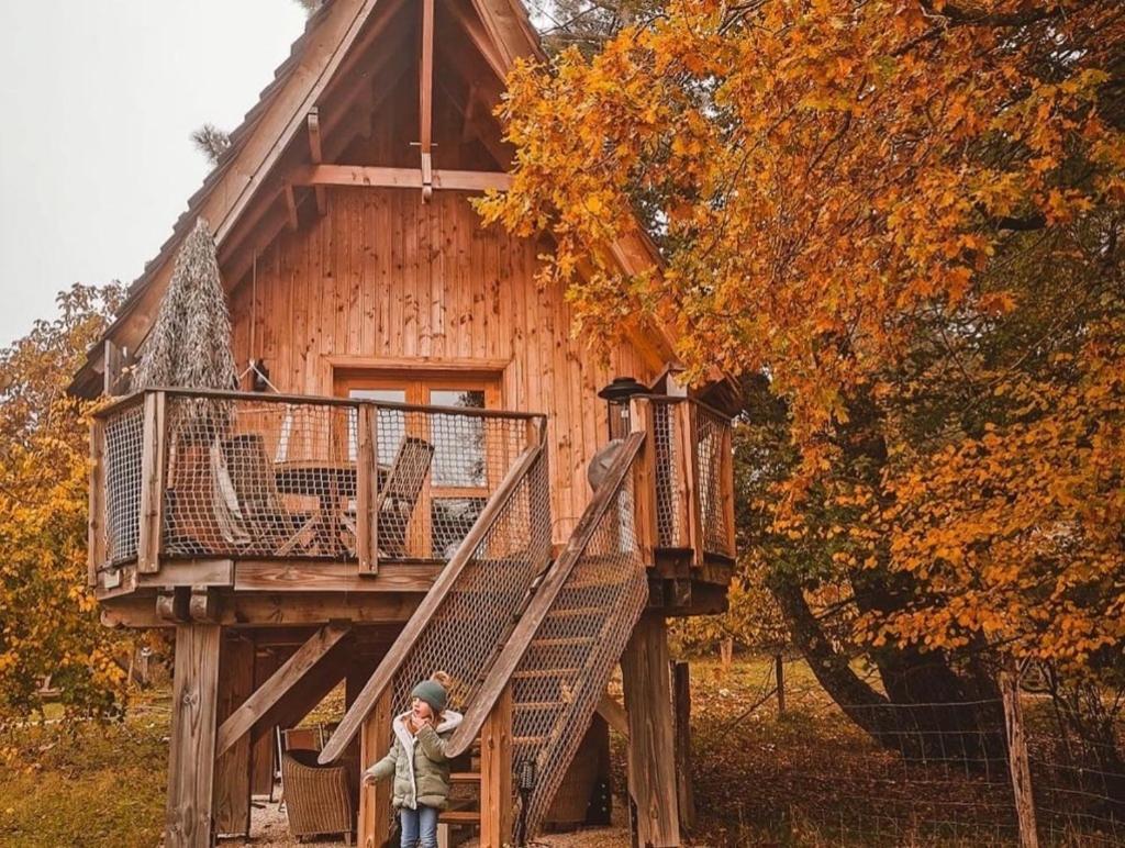 Ecolodge Beauregard Treigny Buitenkant foto