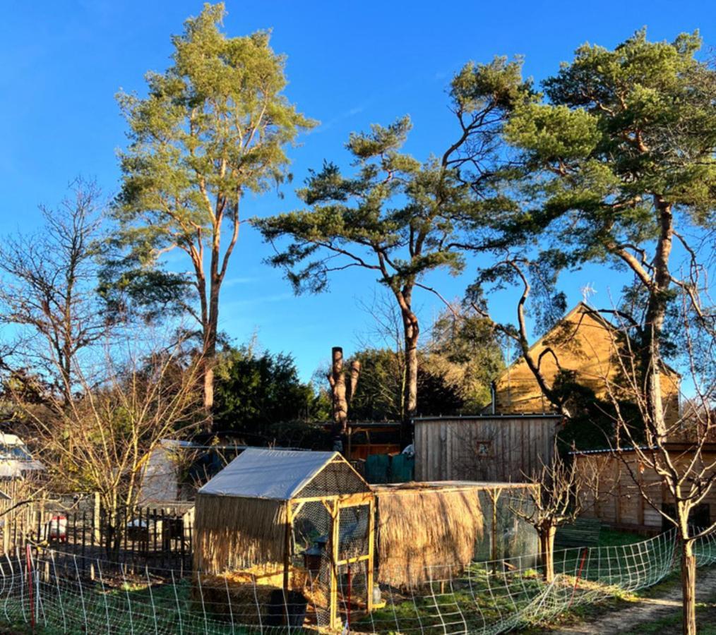 Ecolodge Beauregard Treigny Buitenkant foto