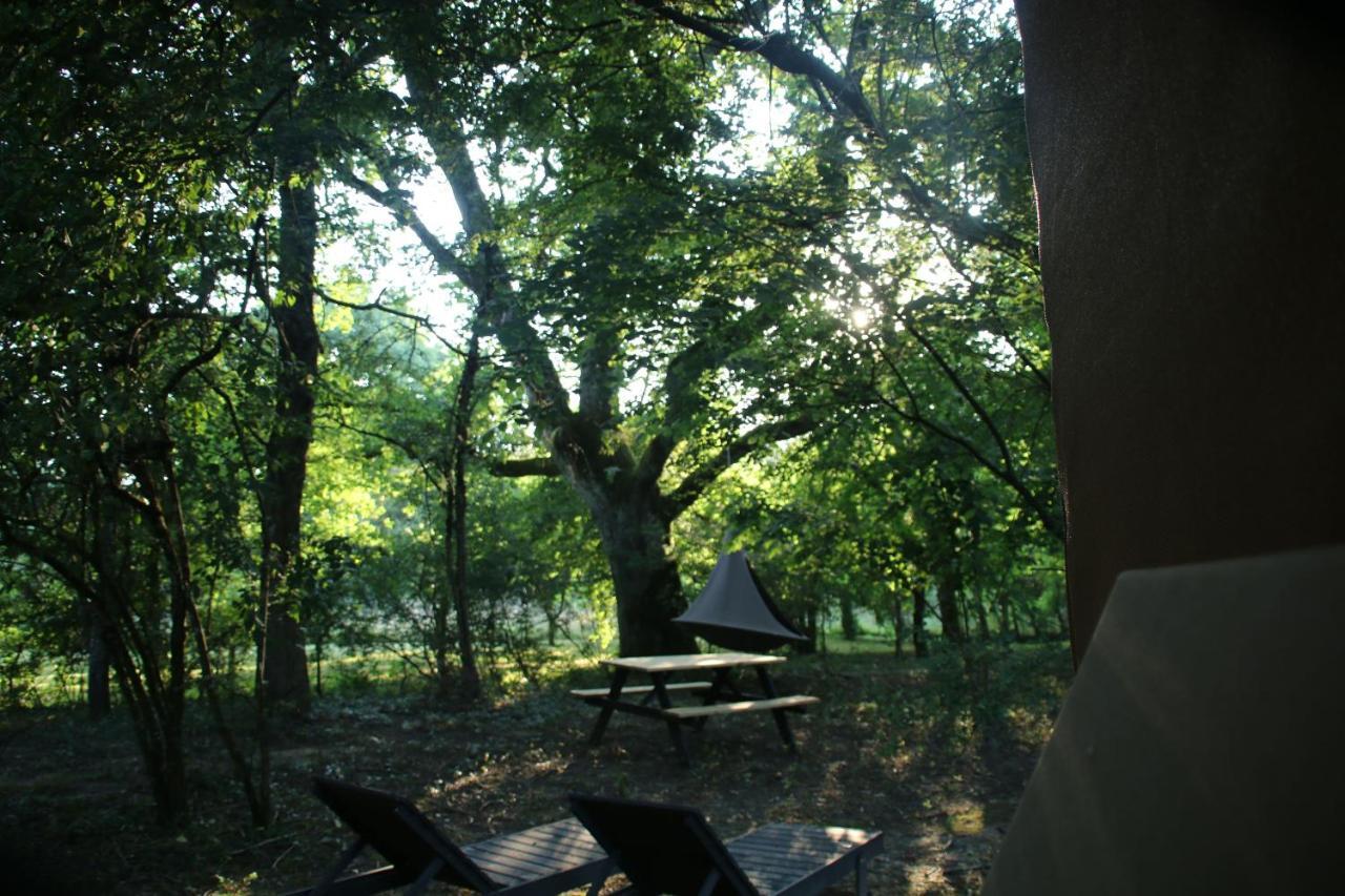 Ecolodge Beauregard Treigny Buitenkant foto
