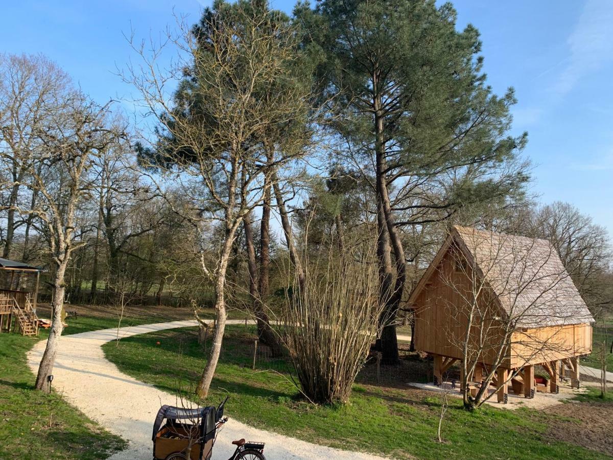Ecolodge Beauregard Treigny Buitenkant foto