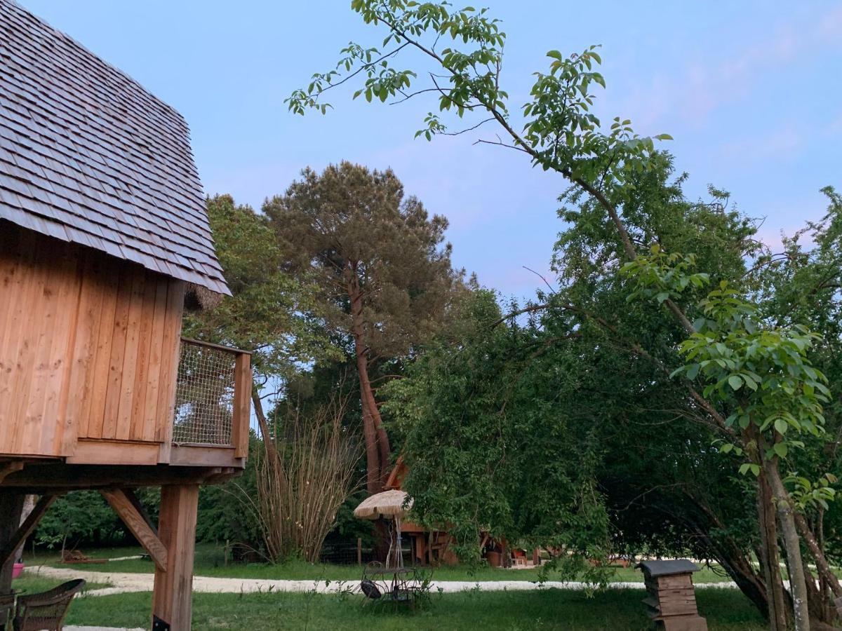 Ecolodge Beauregard Treigny Buitenkant foto