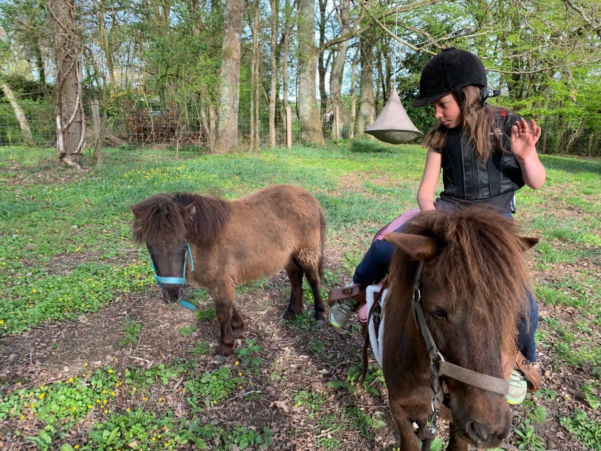Ecolodge Beauregard Treigny Buitenkant foto